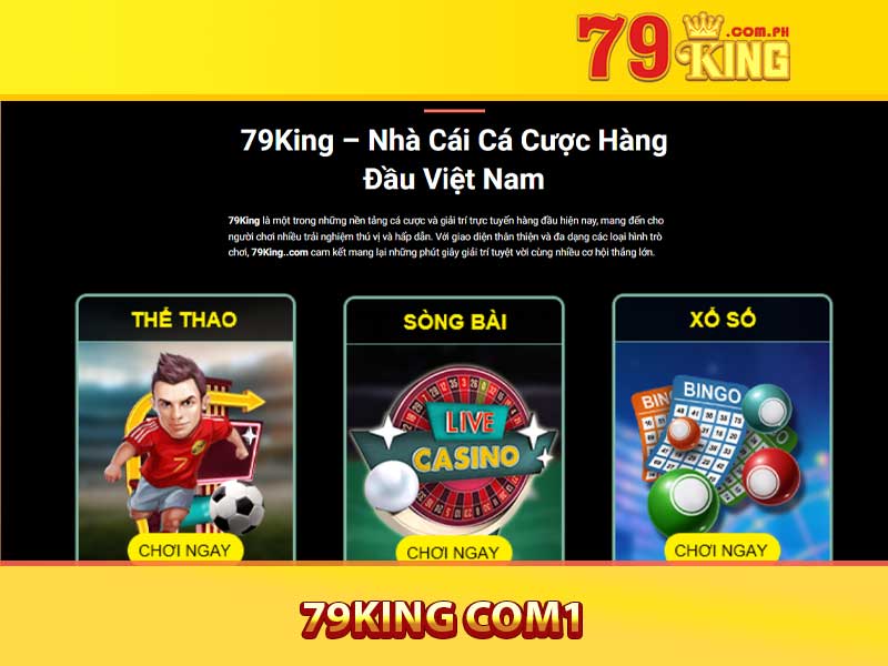 Giới Thiệu Về 79king com1